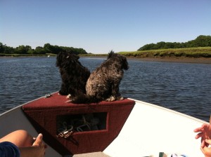 Enjoying a boat ride, Ava & Sage on the Essex River